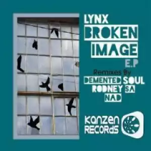 Lynx - Broken Image (Demented Soul’s AfroTech Mix)